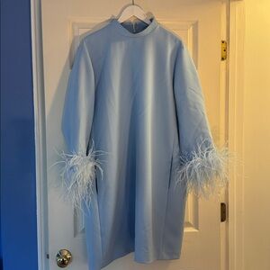 Tuckernuck Light Blue Dress with Feather Cuffs